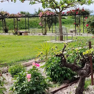  Hébergement de vacances En Provence Lavande France